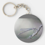 defining serenity key chains