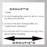 DEFINITION OF A GROUPIE posters