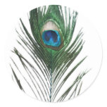 Defused Peacock Feather stickers
