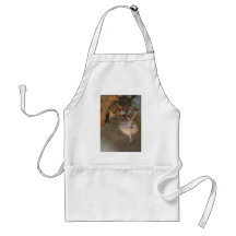 Degas The Star Aprons