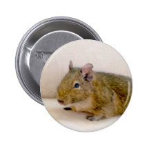 Degu Button