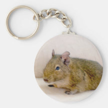 Degu Keychain