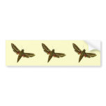 Deilephila celerio bumper stickers