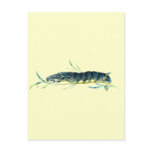Deilephila elpenor caterpillar post cards