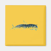 Deilephila elpenor caterpillar refrigerator magnet
