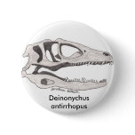 Deinonychus antirrhopus button