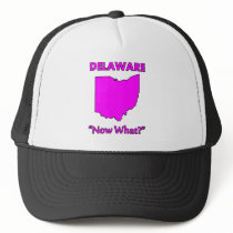 Delaware - Now What?