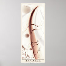 Delicacy Posters