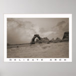 Delicate Arch posters