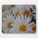Delicate Daisies Mousepad