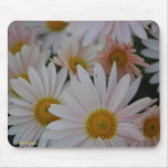 Delicate Daisies Mousepad