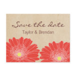 Delicate Daisies Save the Date Postcard, Red
