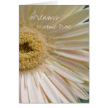 Delicate- Dreams come true cards