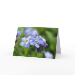Delicate Forget Me Not Flowers Card