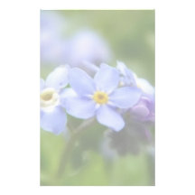 Delicate Forget Me Not Flowers Personalized Stationery