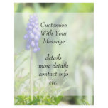 Delicate Grape Hyacinth Bloom flyers