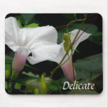 Delicate Morning Glories mousepads