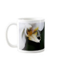 Delicate mugs