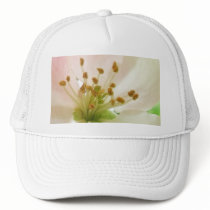 Delicate Pink Apple Blossom Mesh Hats