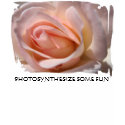 Delicate Pink Rose Bud Cami Tee t-shirts
