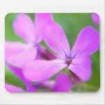 Delicate Purple Lunaria Flowers Mouse Pad
