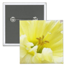 Delicate Spring Daffodil Button