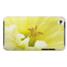 Delicate Spring Daffodil Barely There iPod Covers