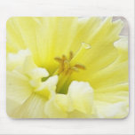 Delicate Spring Daffodil Mouse Pads