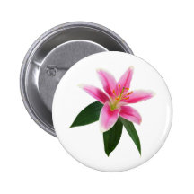 Delicate Stargazer Lily Buttons