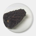 Delicious Blackberry Fridge Magnets