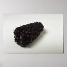 Delicious Blackberry Print