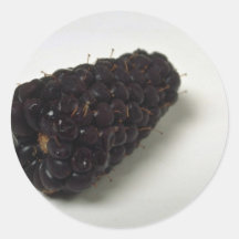 Delicious Blackberry Round Sticker
