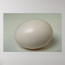 Delicious Egg Posters