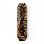 Delicious Fresh cooked and uncooked tiger shrimp w skateboards
