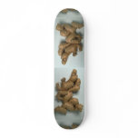 Delicious Ginger skateboards