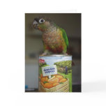 delicious mandarin cards