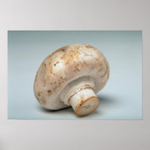 Delicious Mushroom Poster