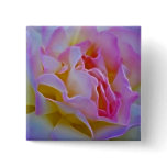 Delicious rose and meaning buttons