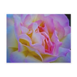 Delicious rose and meaning postcards