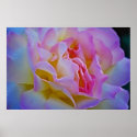Delicious rose and meaning posters