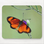 Delight mousepads