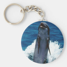Delightful Dolphin Key Chains
