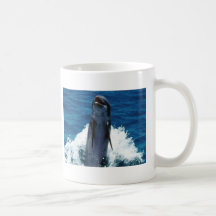 Delightful Dolphin Mug