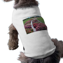 Delightful fresh flowers arrangement in park pet t-shirt