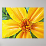 delightful print