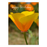 Delightful Spring Card