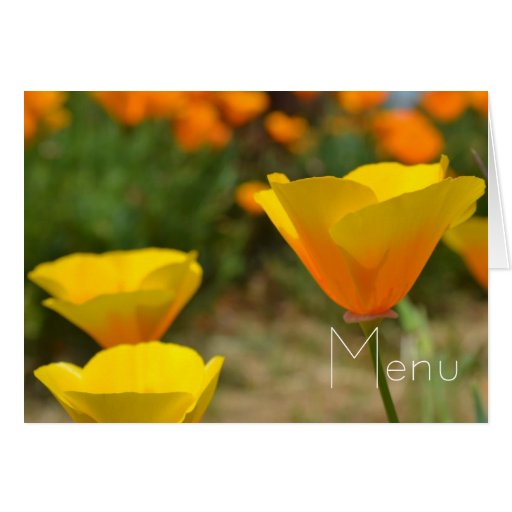 Delightful Spring Cards