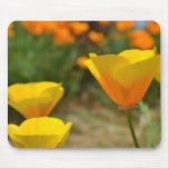 Delightful Spring Mousemat