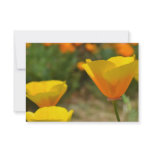 Delightful Spring R.S.V.P. invitations