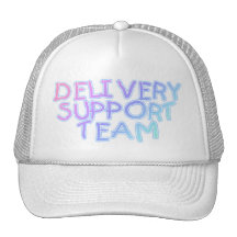 Delivery Support Team (Pastel) Mesh Hat